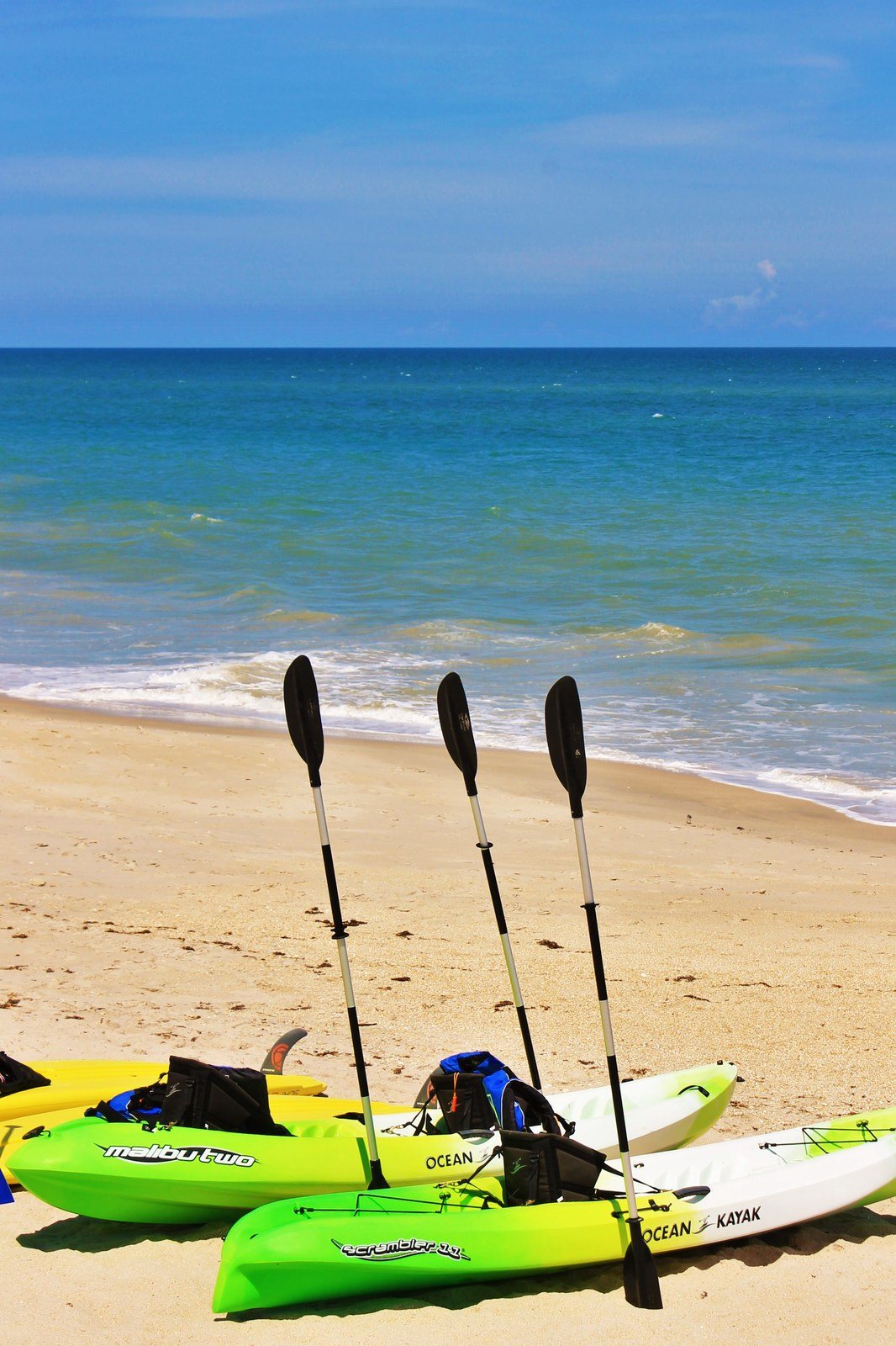 Beach Life