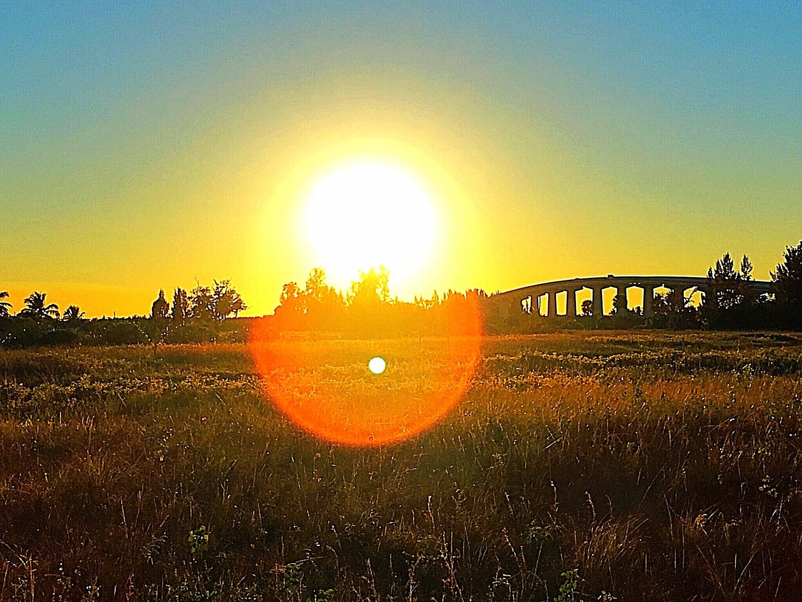 Paradise Sunset #lovewins