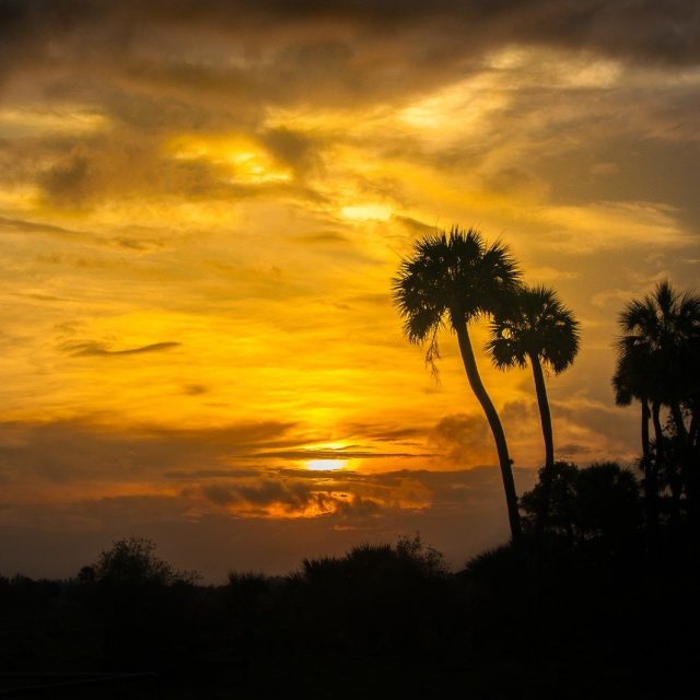 Sunrise West Vero