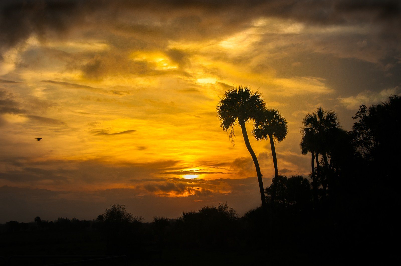 Sunrise West Vero