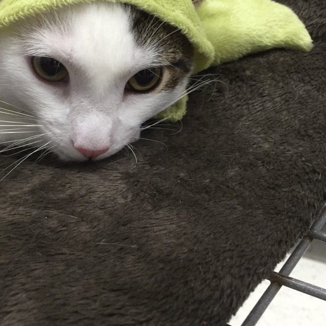May The Force Be With You