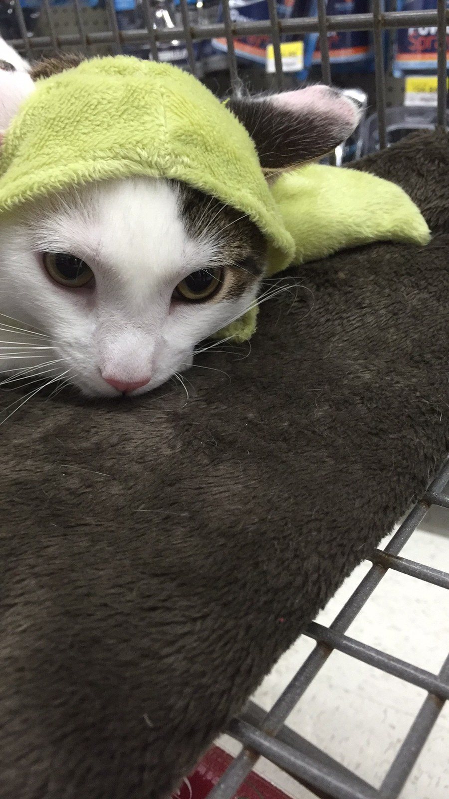 May The Force Be With You