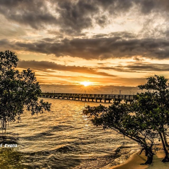"Sunrise"