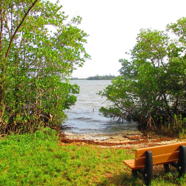 Sit And Enjoy