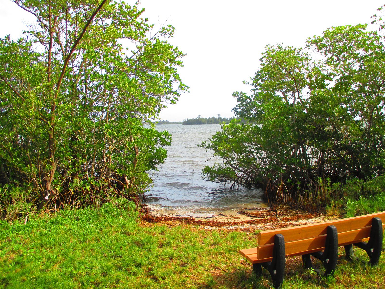 Sit And Enjoy