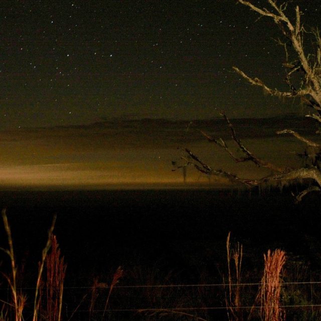 A Clear Night At Blue Cypress