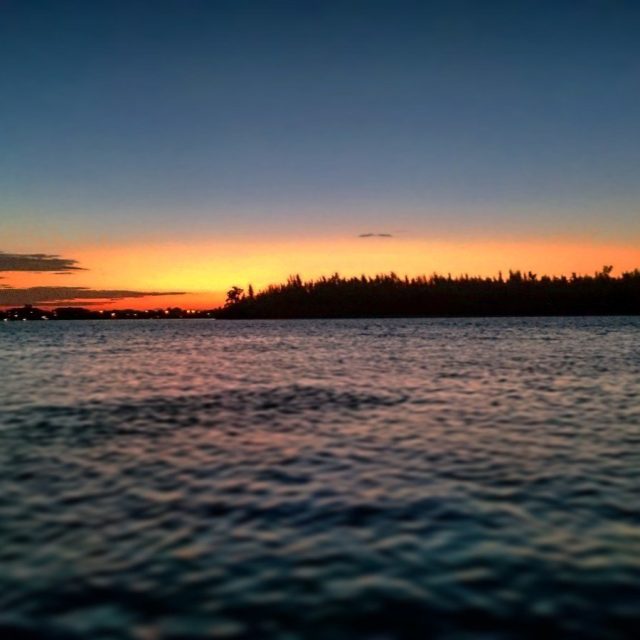 Mullet In The Sunset