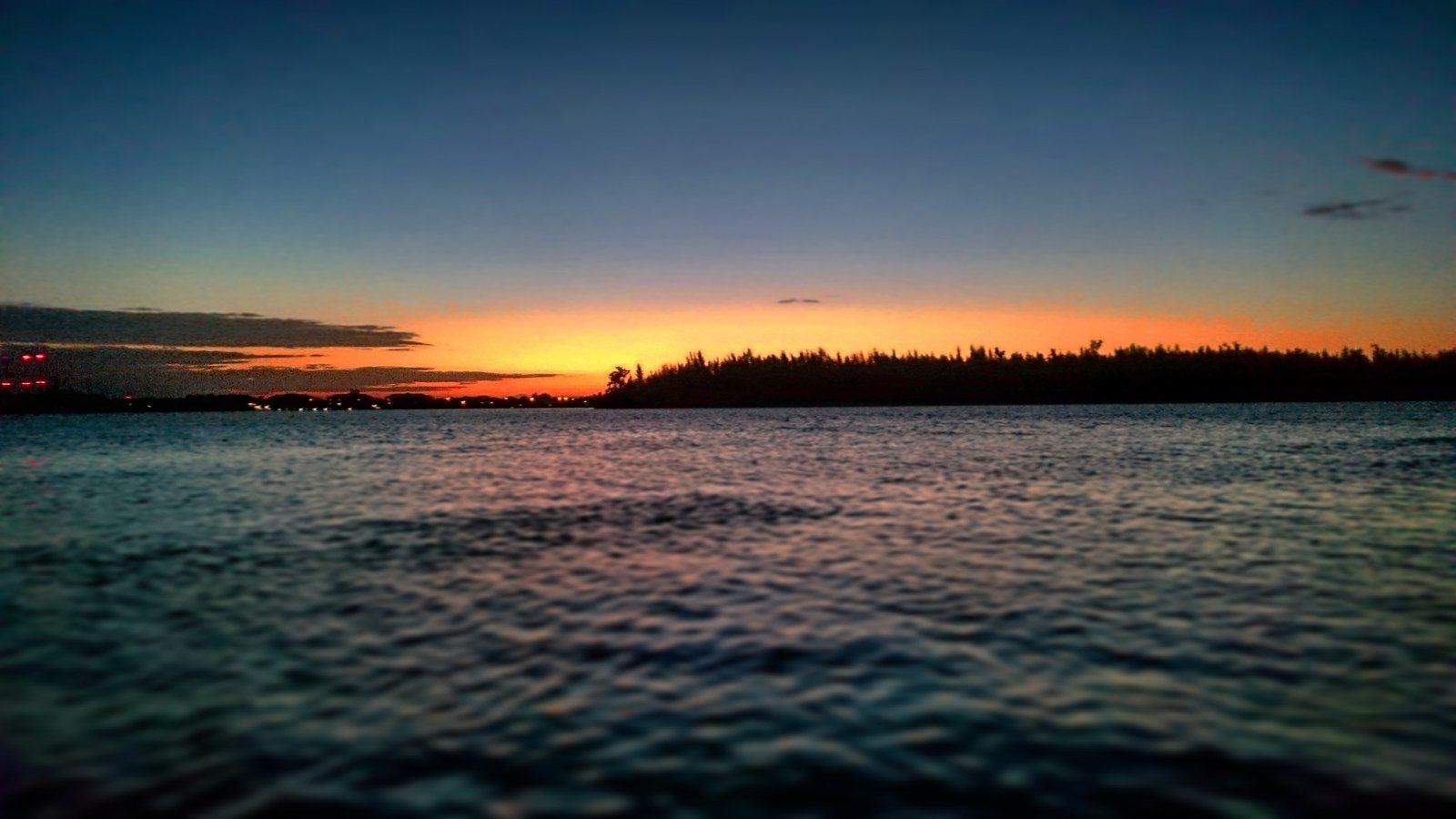 Mullet In The Sunset