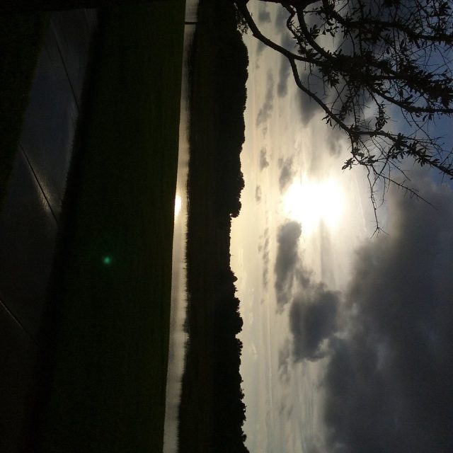 My View Of The Morning