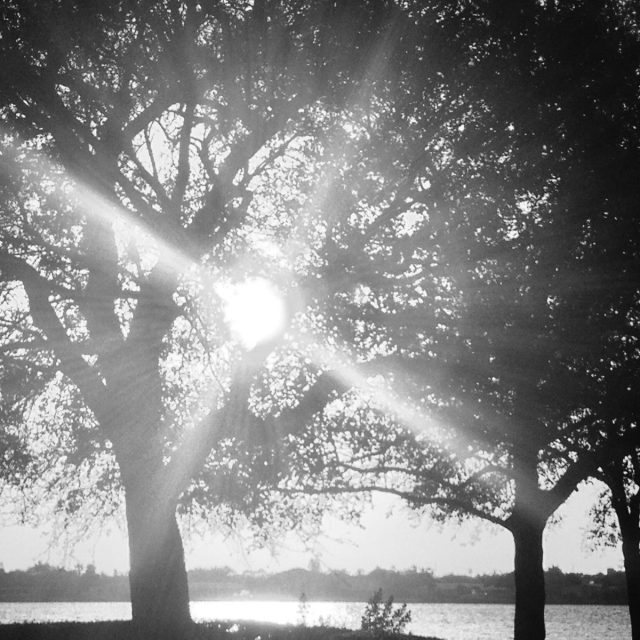 Warm Rays Shining Through...Memorial Island