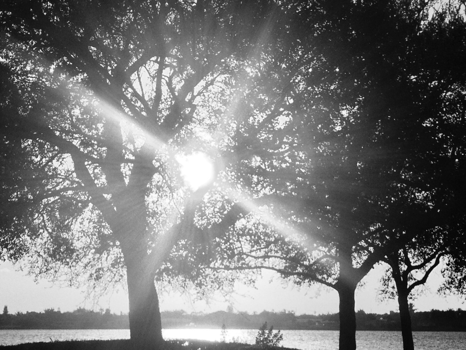 Warm Rays Shining Through...Memorial Island