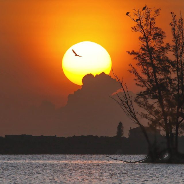 Dawn Over Buzzard Island