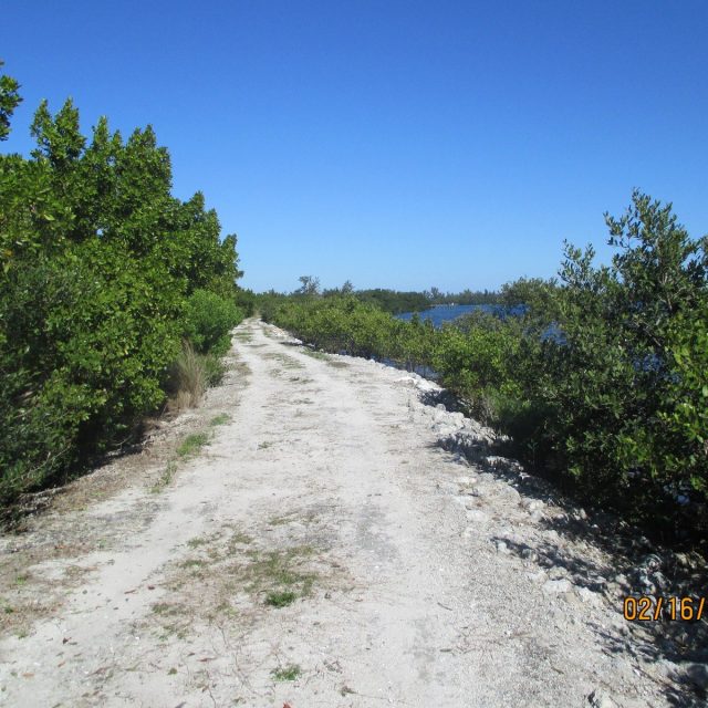 Beautiful Indian River Back Road