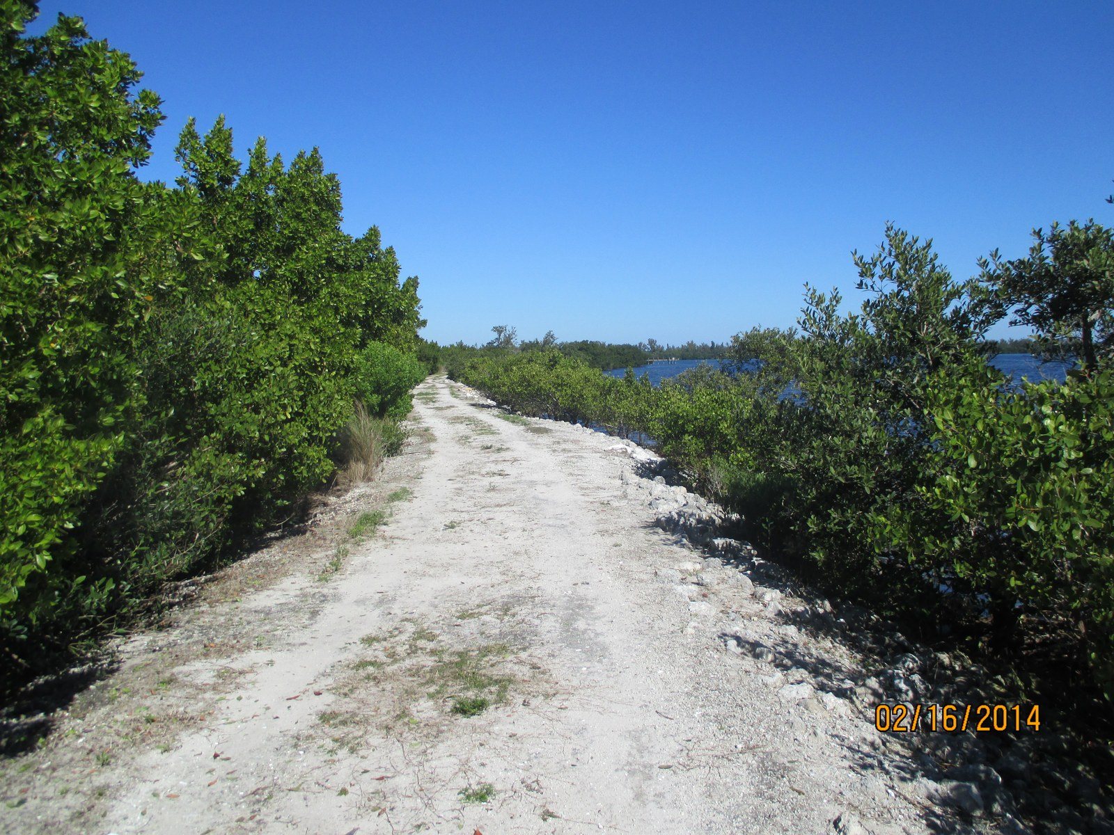Beautiful Indian River Back Road