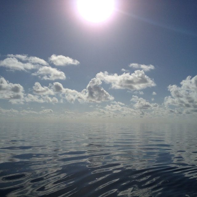 Wonders Of The Ocean