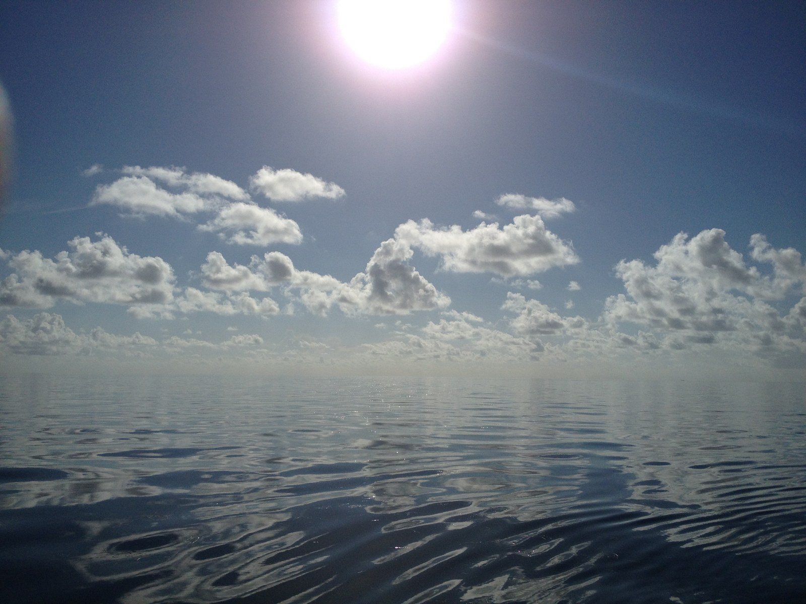 Wonders Of The Ocean