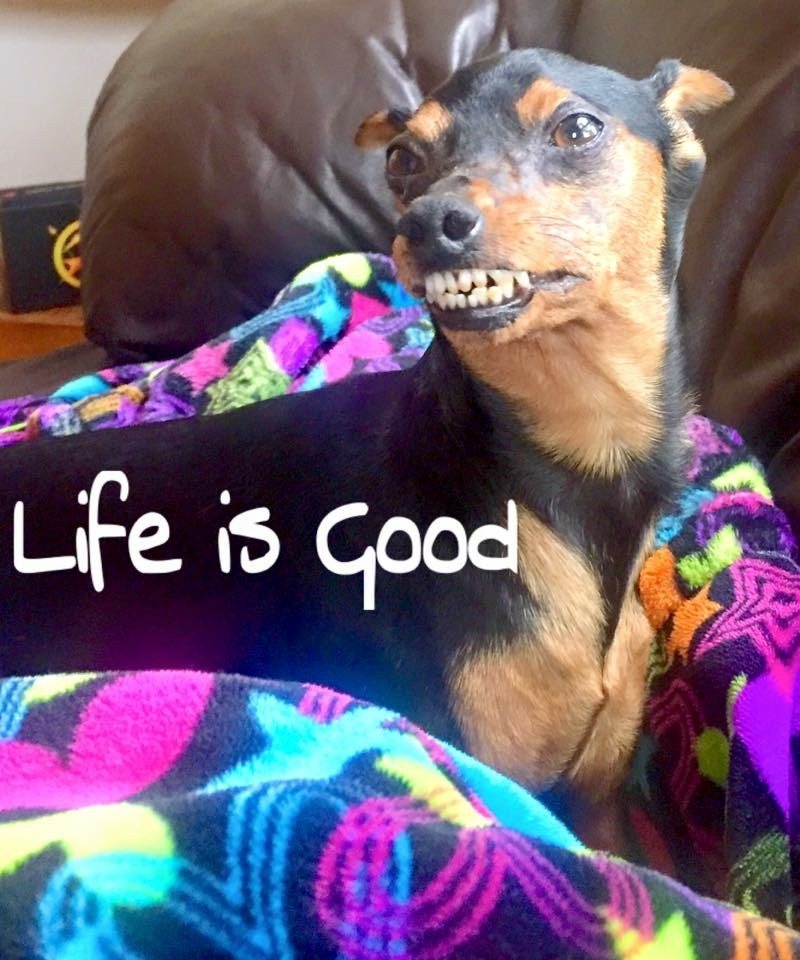 Life Is Good