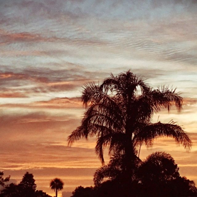 Good Morning....