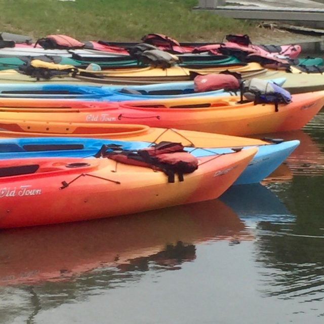 Kayak