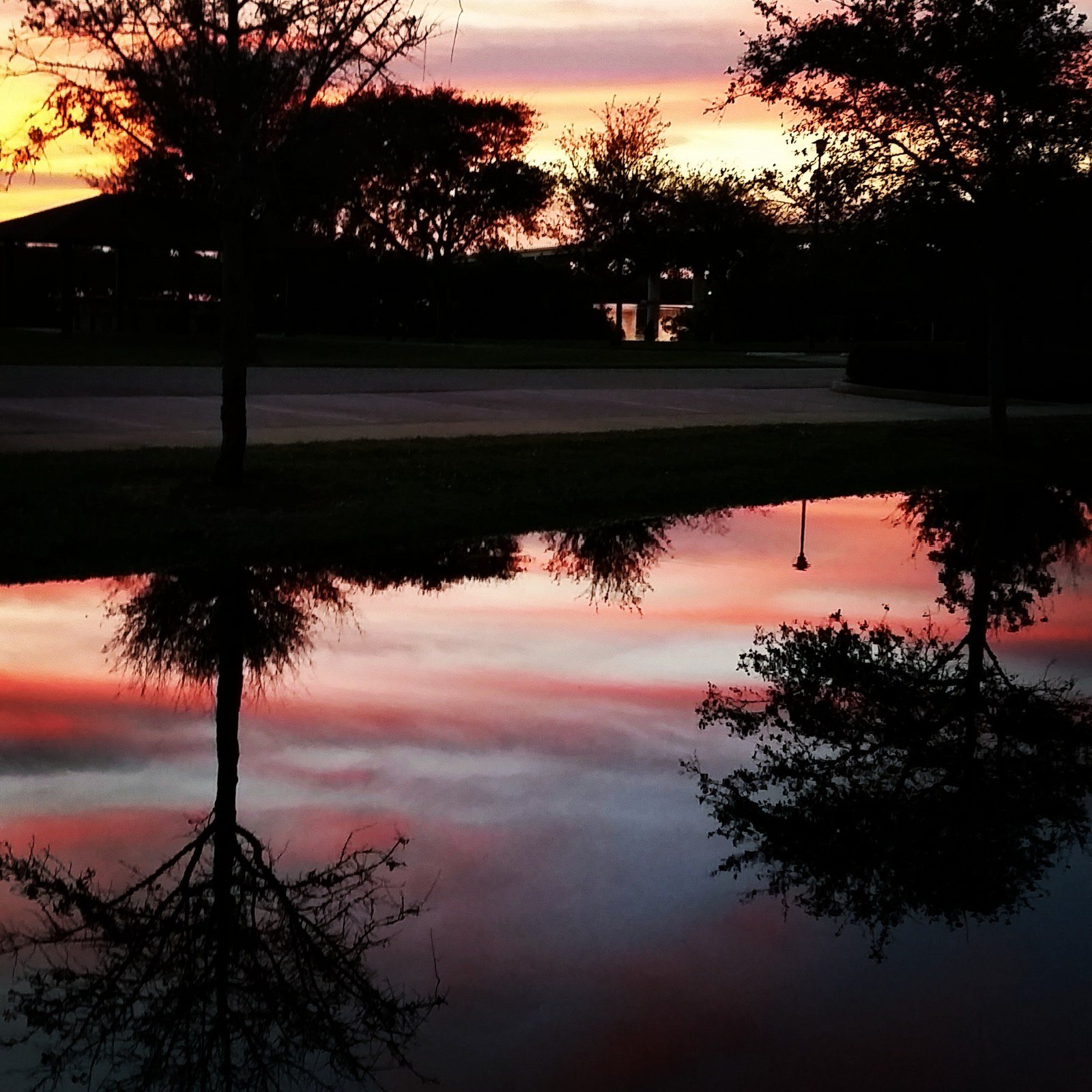 Rain Puddle