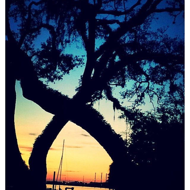Cathy's photo