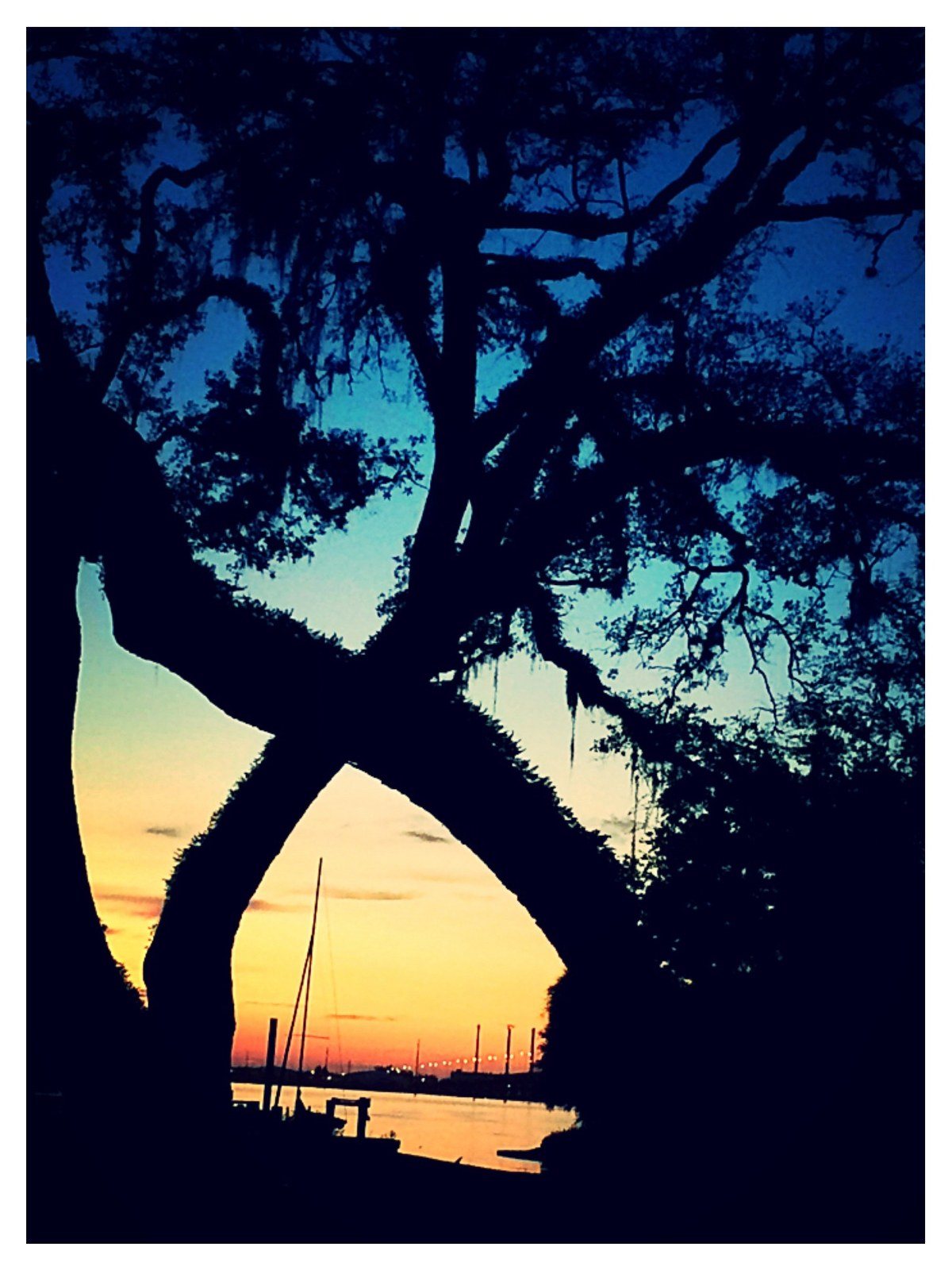 Cathy's photo