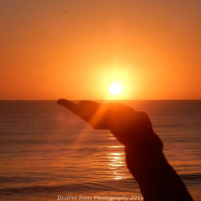 Palm Sun Day