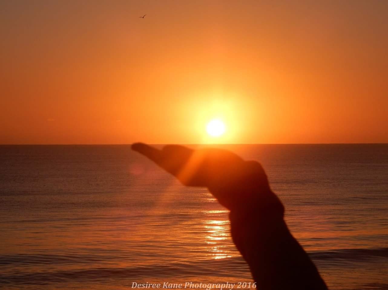 Palm Sun Day