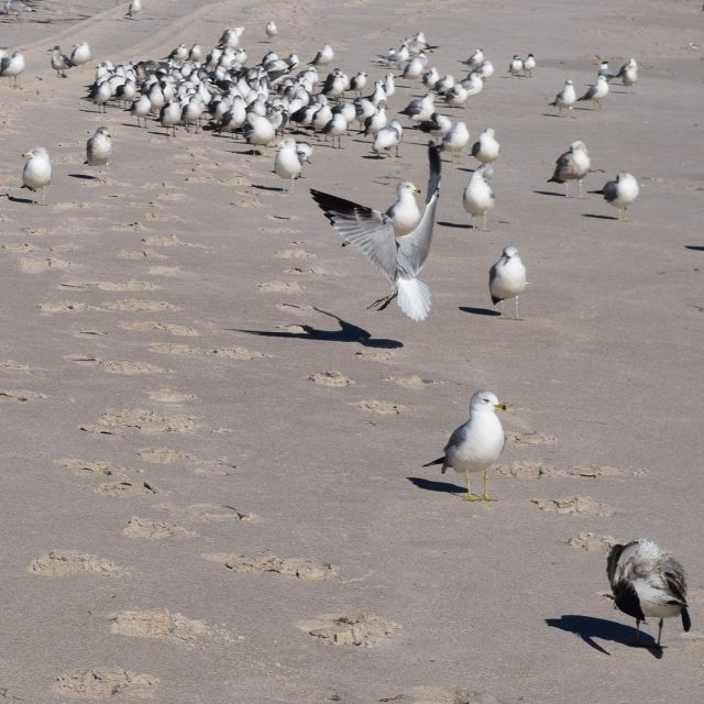 Work Meeting At The Beach.