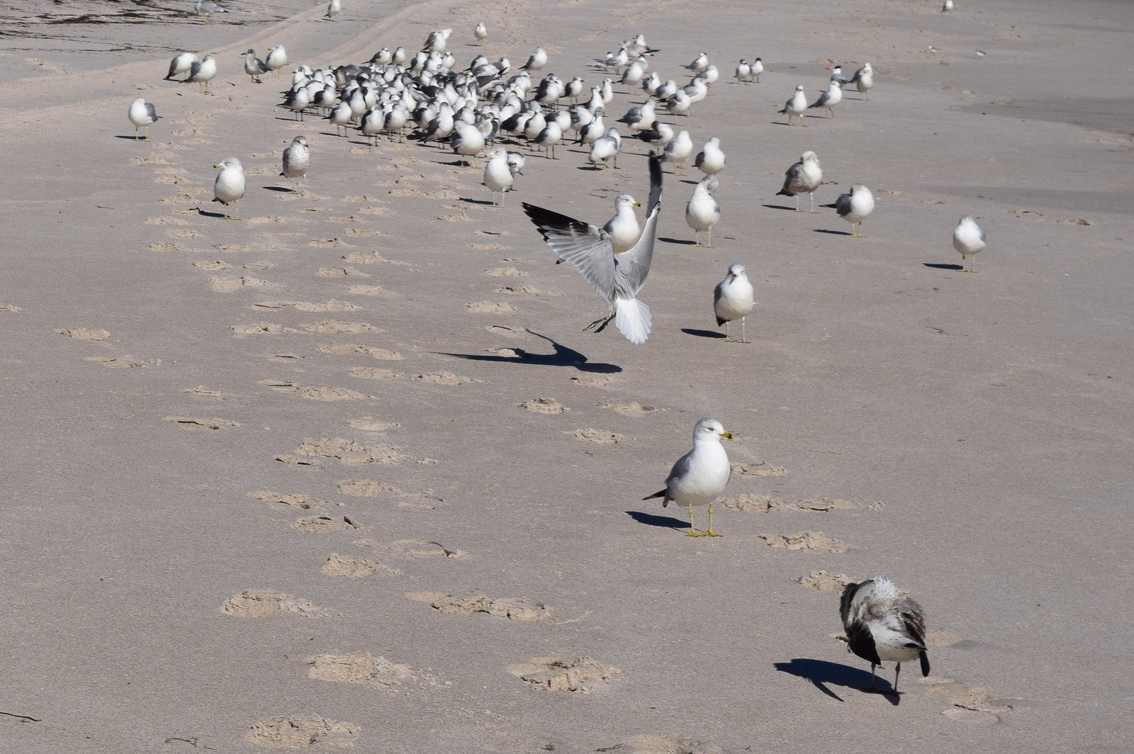 Work Meeting At The Beach.