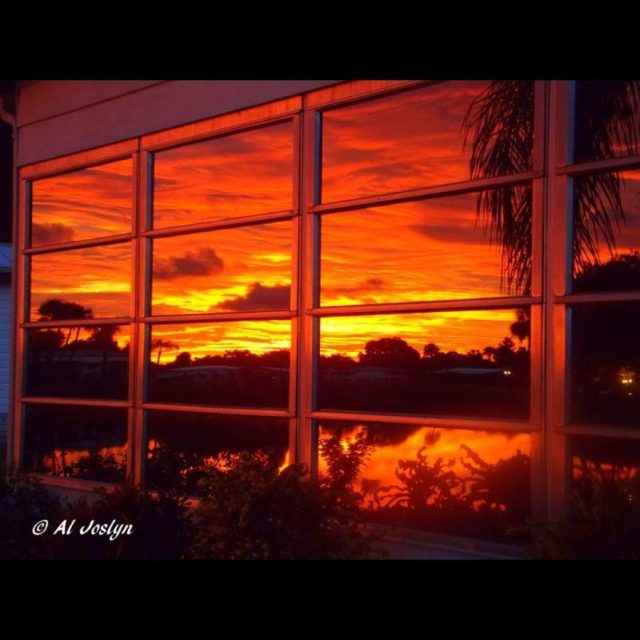 Reflections