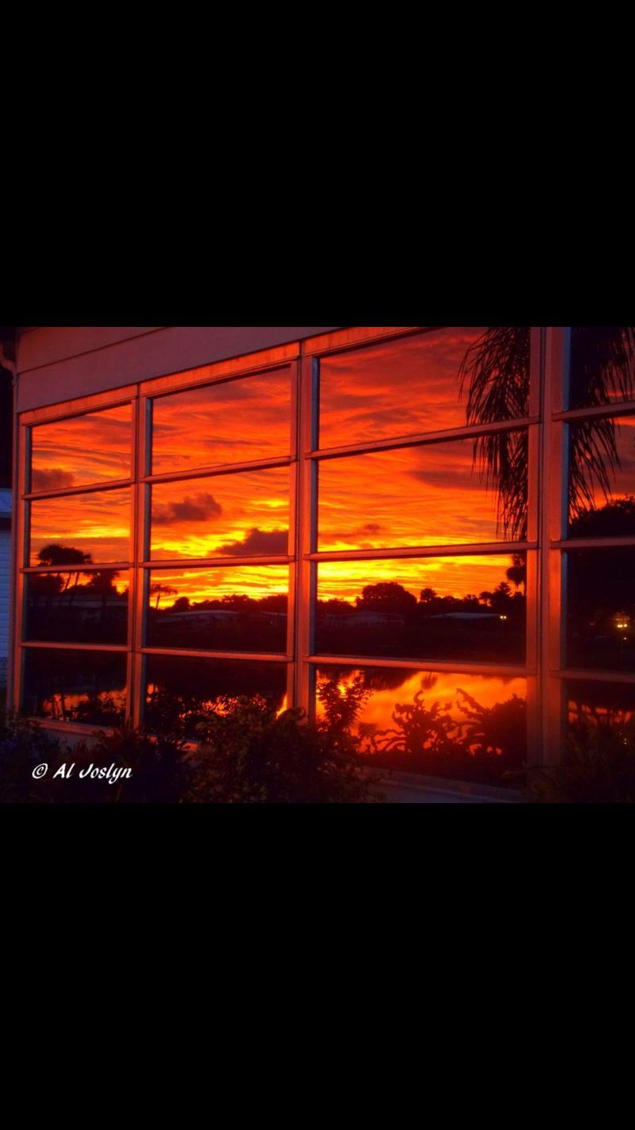 Reflections