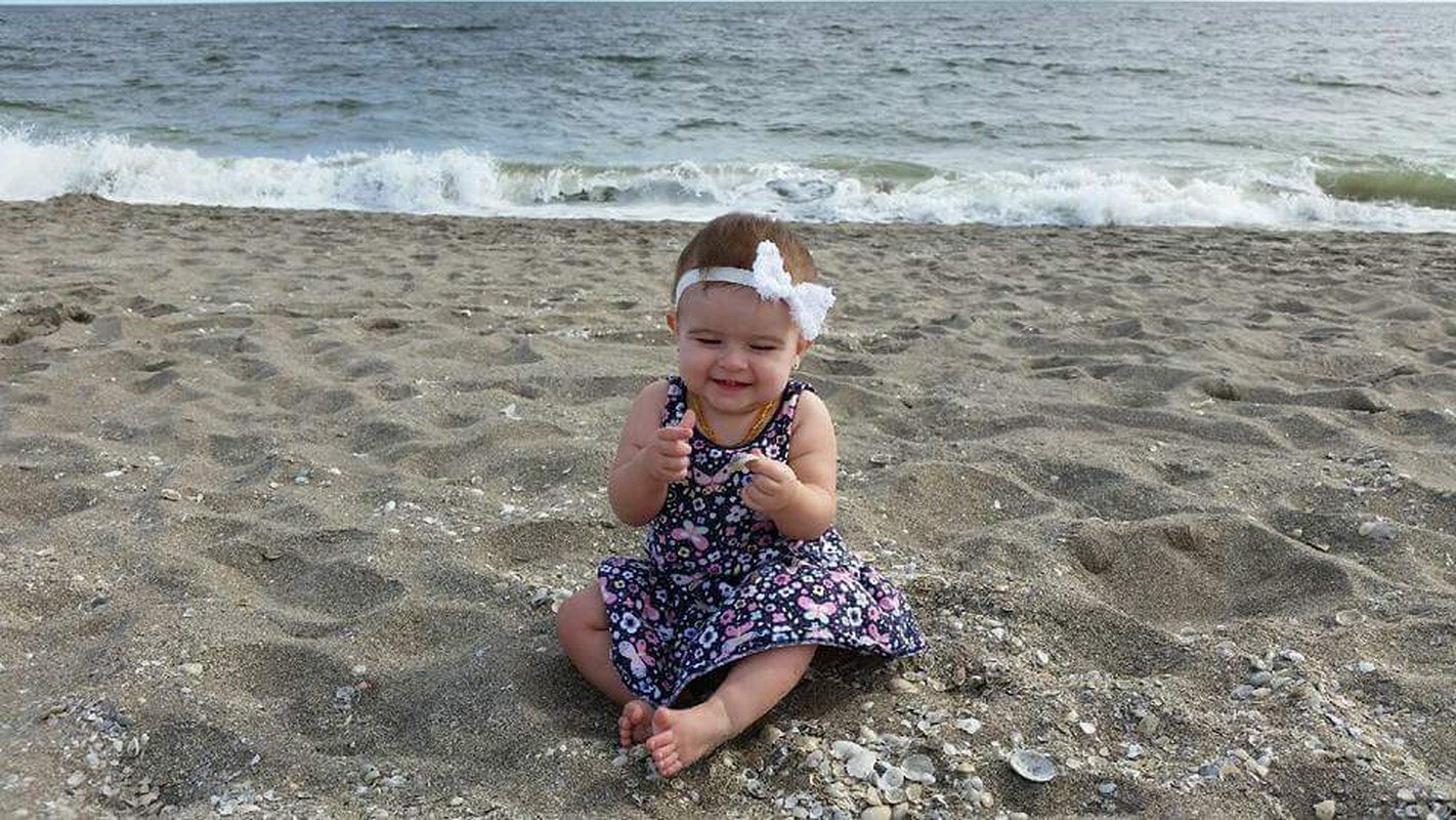 Shells On The Beach