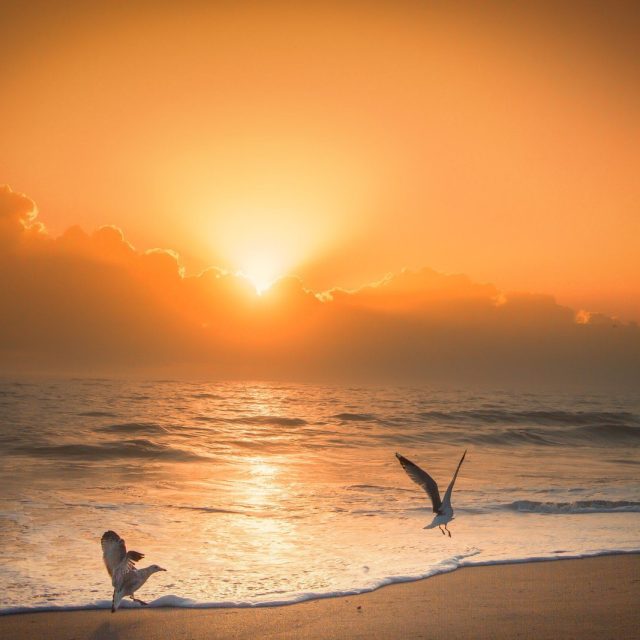 Sunrise JC Beach
