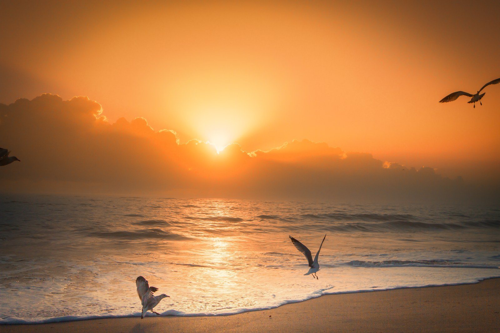 Sunrise JC Beach