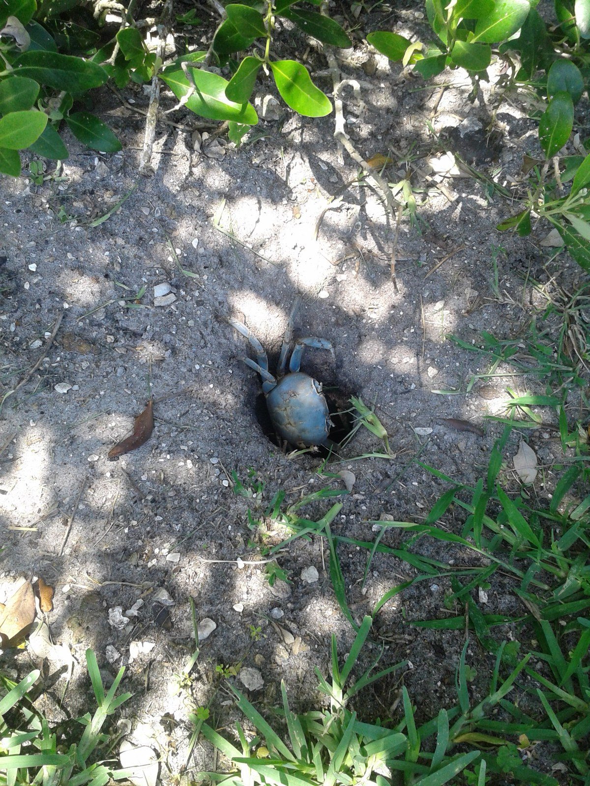Vero Resident :)