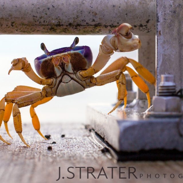 Hey There!