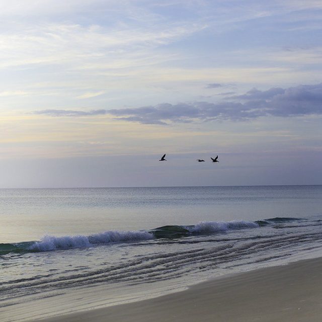 Peaceful Sunrise