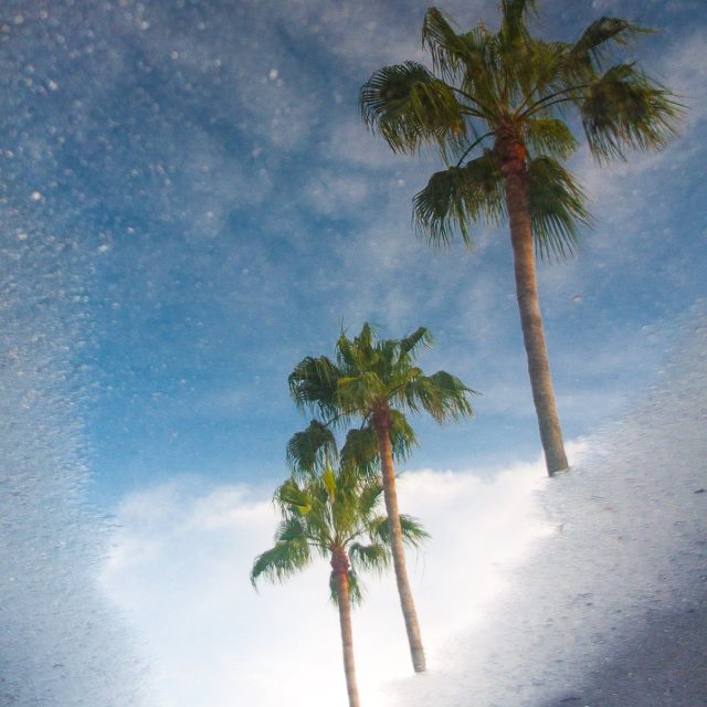 Nothing But Blue Skies
