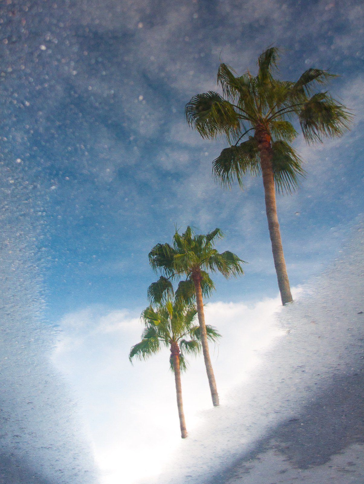 Nothing But Blue Skies
