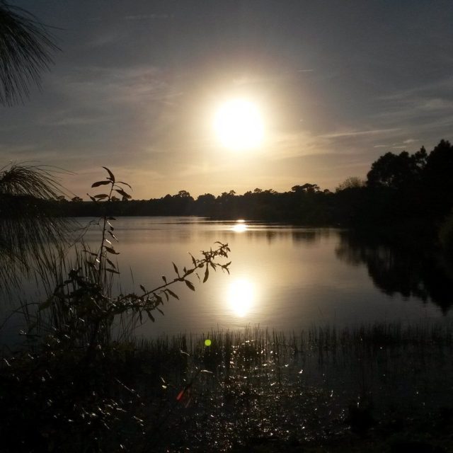 My Evening Walk