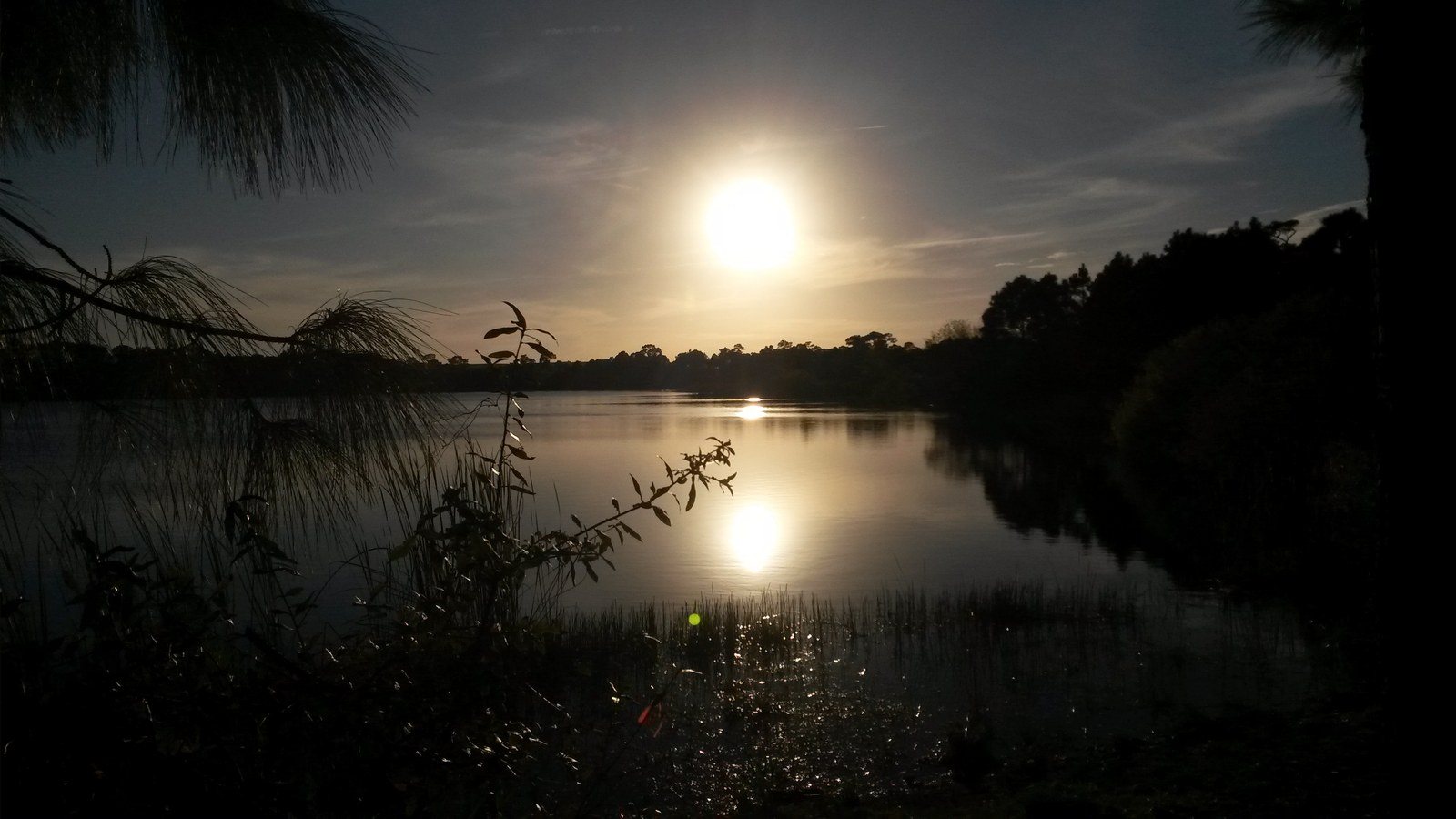 My Evening Walk