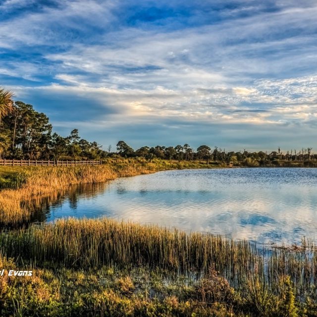 Florida Lakes