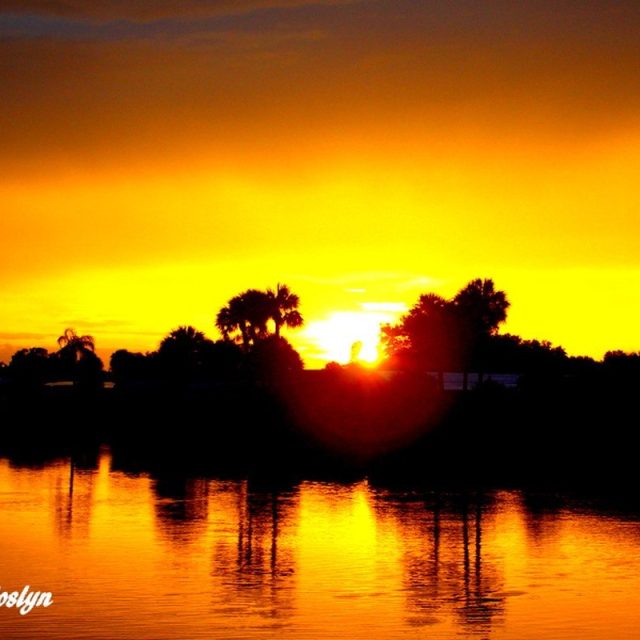 Golden Sunset