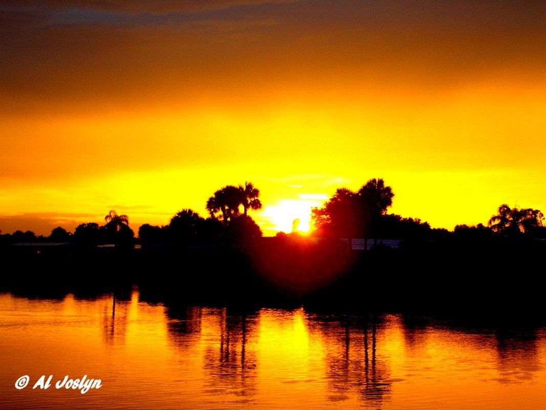 Golden Sunset