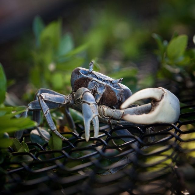 Stefanie's photo