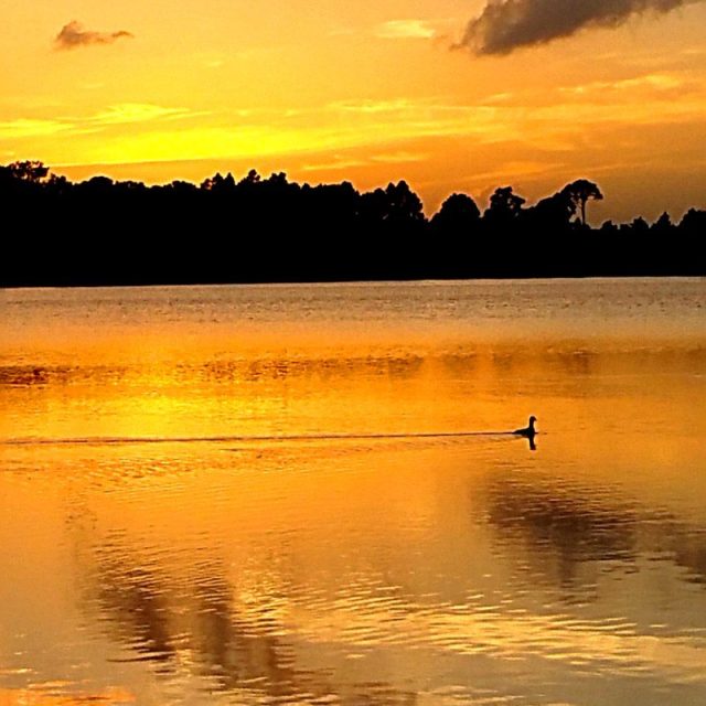 God's Beautiful Creations