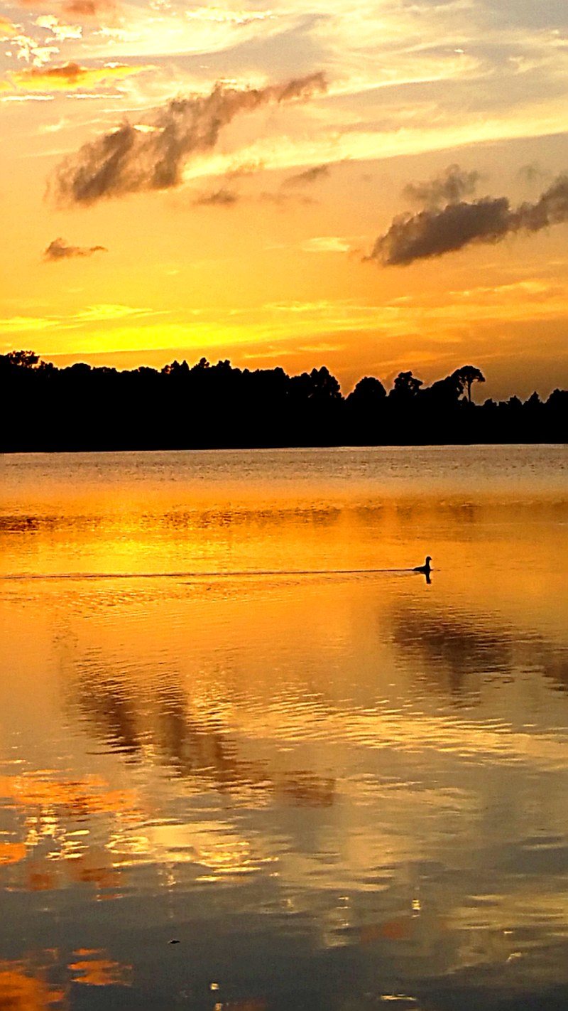 God's Beautiful Creations