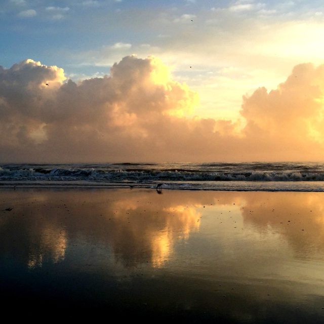 Mirror Of Beauty