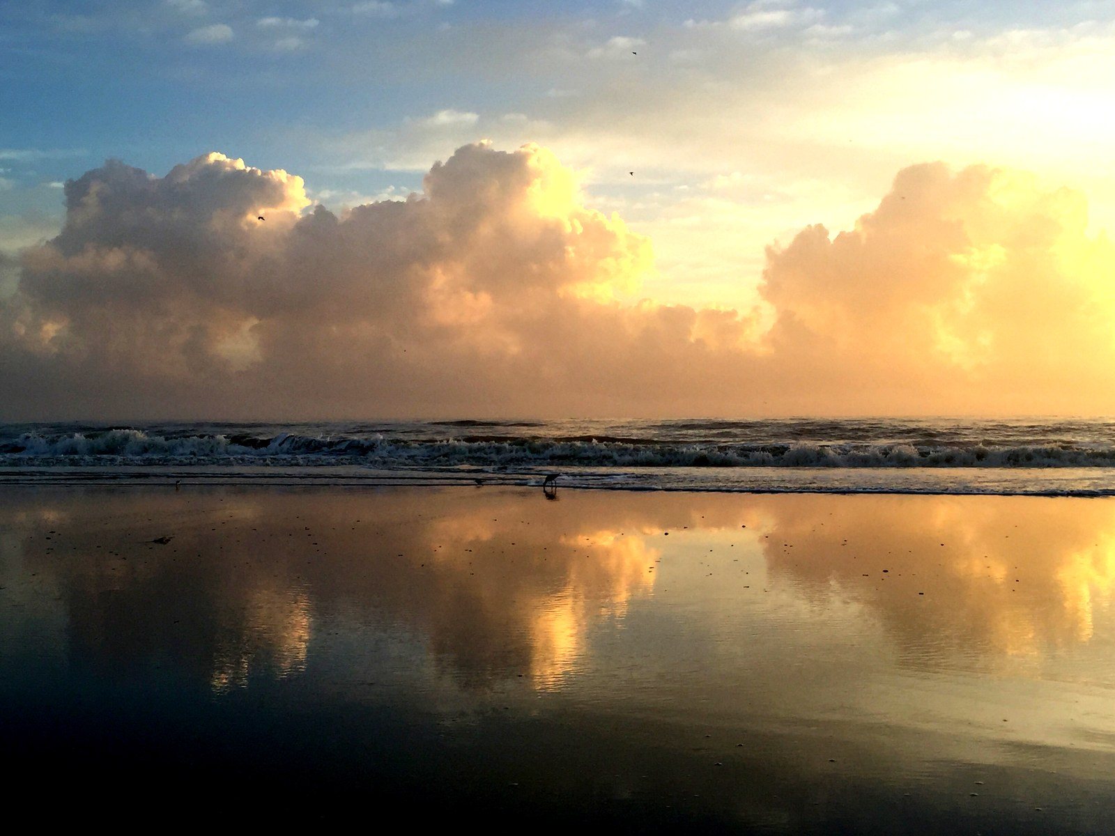Mirror Of Beauty